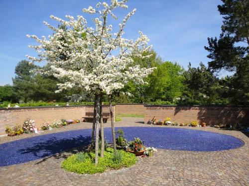 Friedhof Reinach