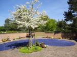 Friedhof Reinach